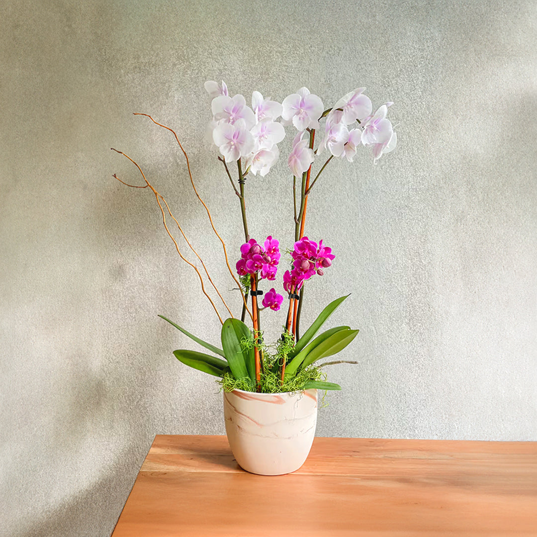 Artificial Orchid & Flower Arrangements Collection