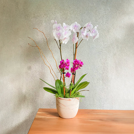 Artificial Orchid & Flower Arrangements Collection