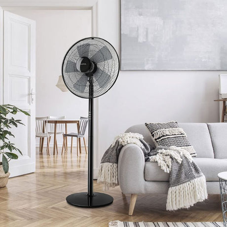 Standing & Table Fans