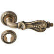 Handle on Florence Opaque Sat Bronze