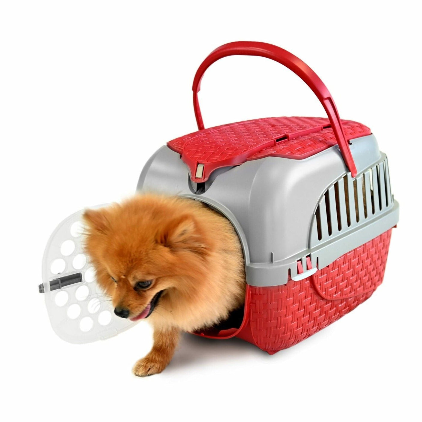 Pet Travel Carrier