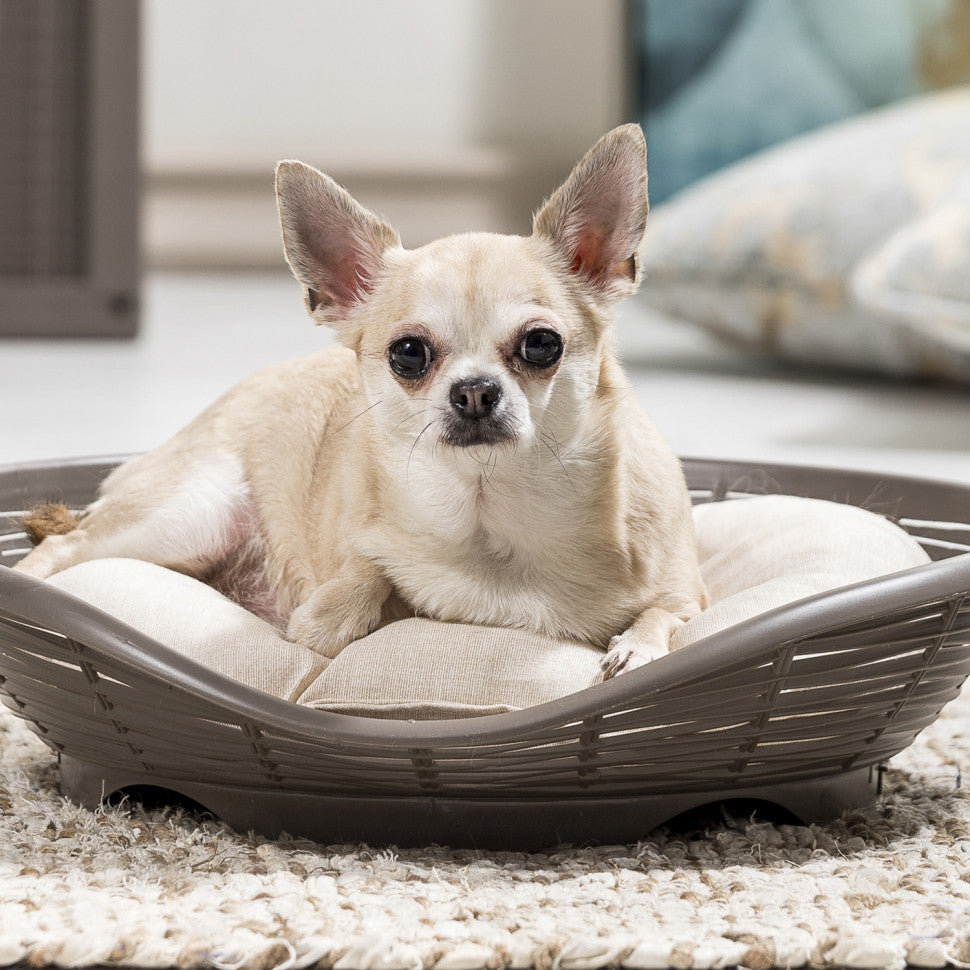 Pasha Cat Bed With Dove Gray Cushion