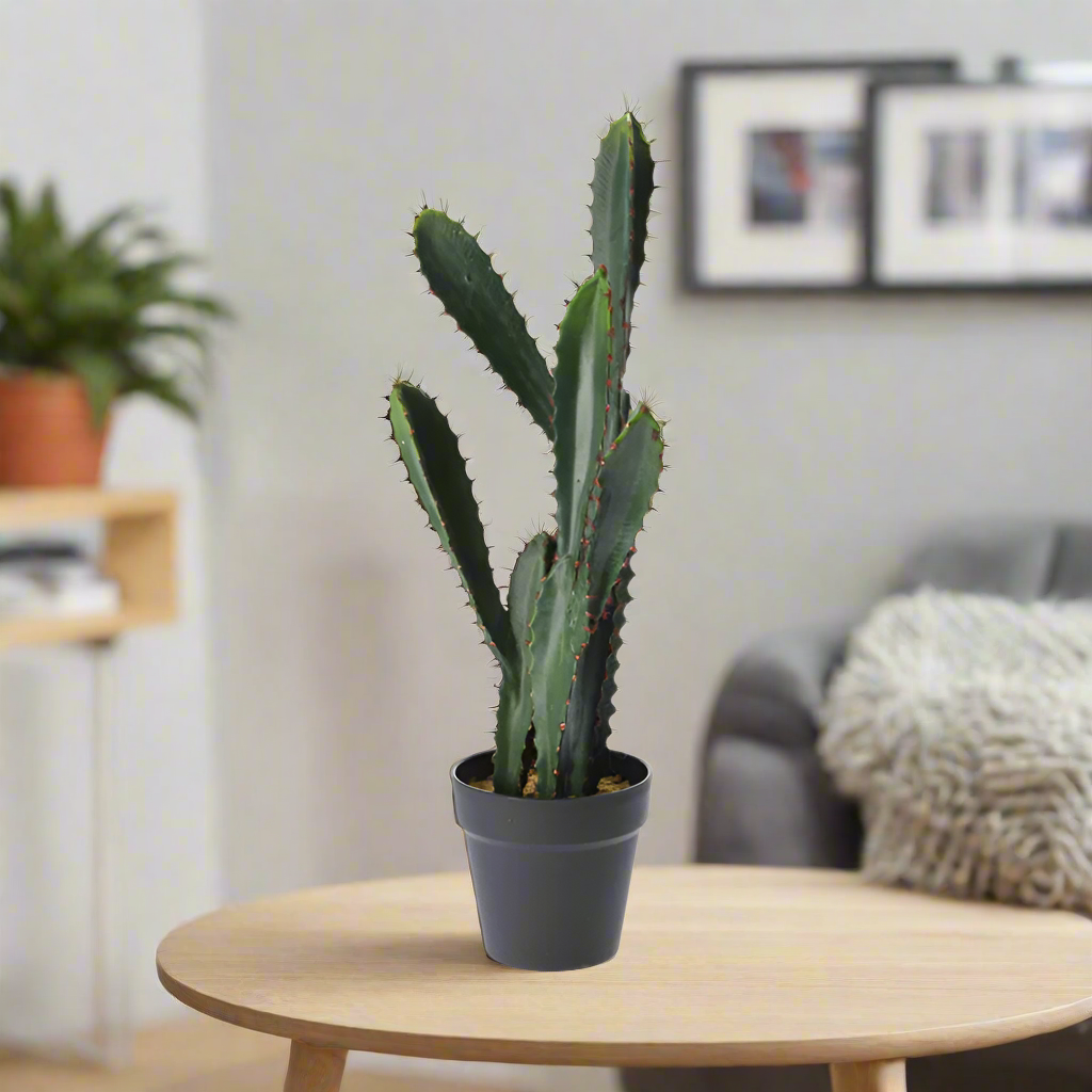 Cactus in Pot 56CM