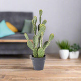 Cactus in Pot 56CM