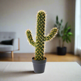 Cactus in Pot 56CM