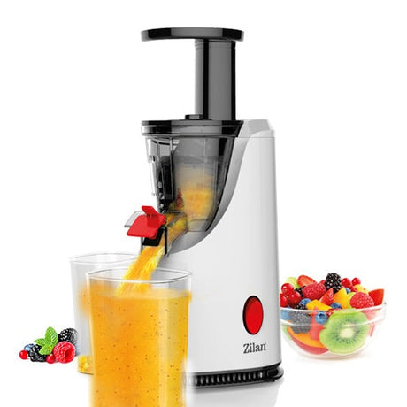 Slow Juicer