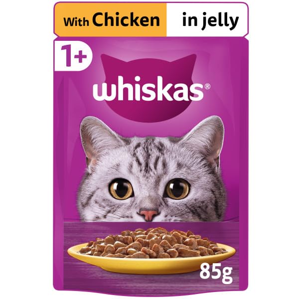 Whiskas Sachet Chicken Jelly 85gm