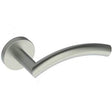 Door Handle Silver