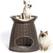 Pet Food & Accessories