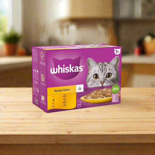 Whiskas Sachet Poultry Feast Jelly 1+ 85gm