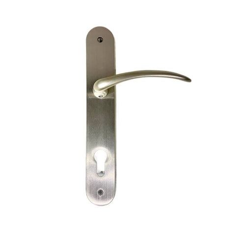 Door Handle On Plate Silver