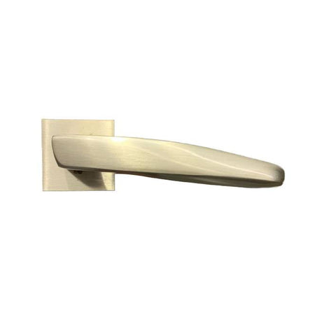 Door Handle SS