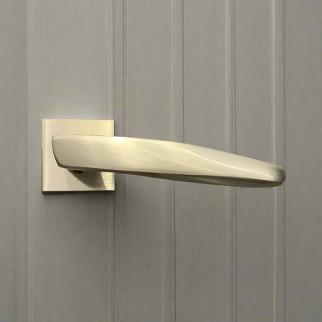 Door Handle SS