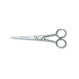 Hairdresser's Scissors Silver