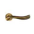 Antique Brass Door Handle