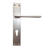 Door Handle with Plate