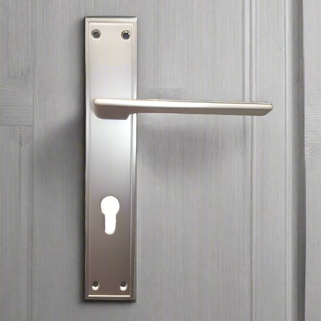 Door Handle with Plate