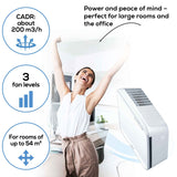 Air Purifier With Fast Identification Of Fine Dust Particles