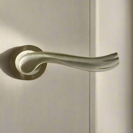 Brass Door Handle SN