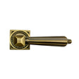 Antique Brass Door Handle