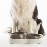 Pet Food Bowl Large