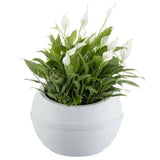 Sfera Planter With Clip-on Saucer White