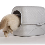 Pet Carry Box