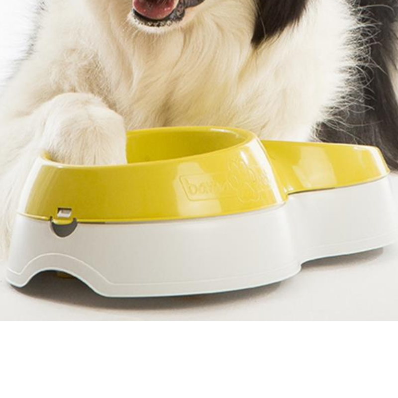 Pet Food Bowl Large