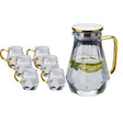 Glass Slash Jug Silver With Steel Lid (Set of 7)