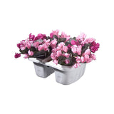 Double Adjustable Flower Pot with Water Tank