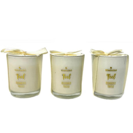 Scented Candle (Set of 3)