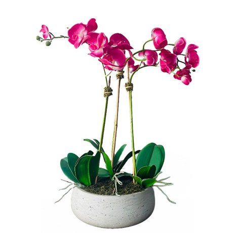 Pink Orchid Arrangement