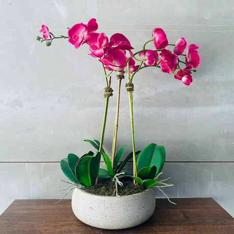 Pink Orchid Arrangement