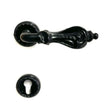 Door Handle on Rose Florence Black