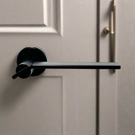 Door Handle on Rose Genova Black