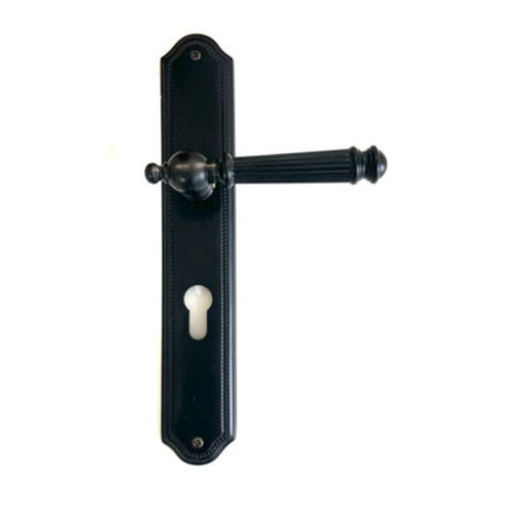 Door Handle on Plate Veronica Black