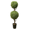 Boxwood 2 Ball