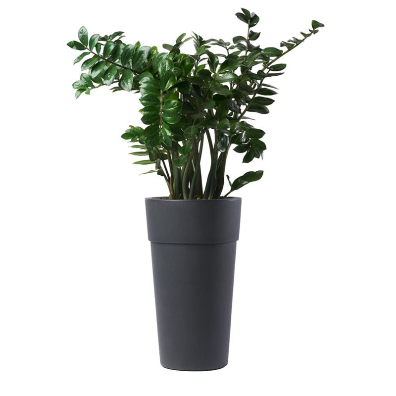 Bama Flower Pot Cono Anthracite