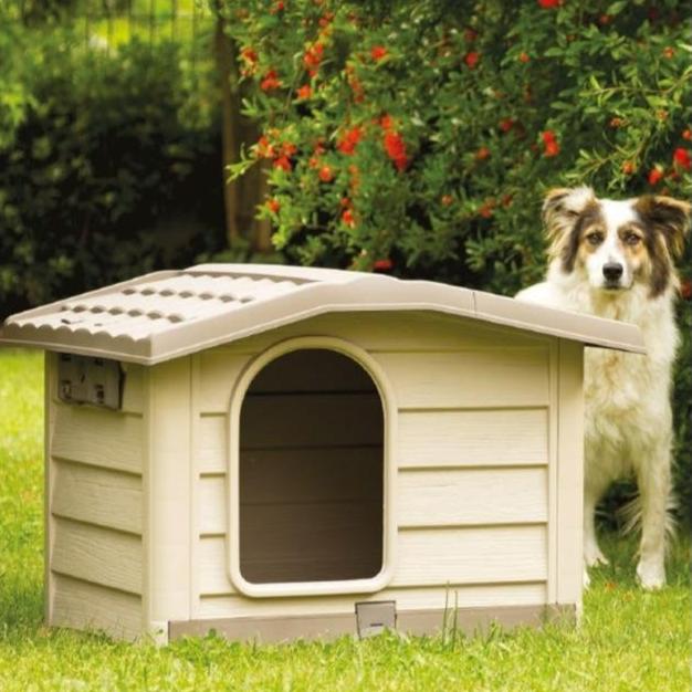 Dog House Bungalow