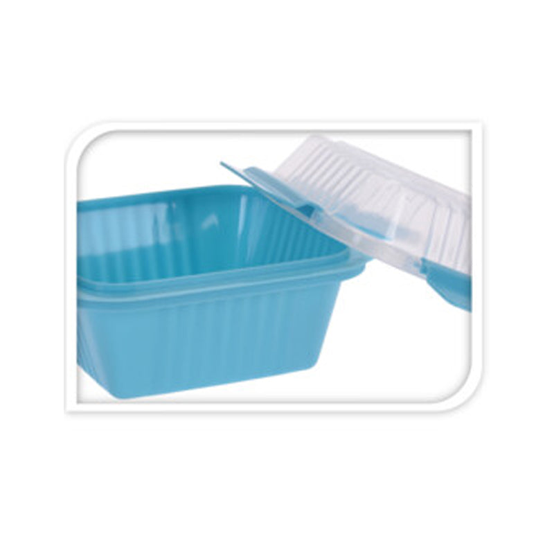 Polypropylene Lunchbox 15x15x9cm