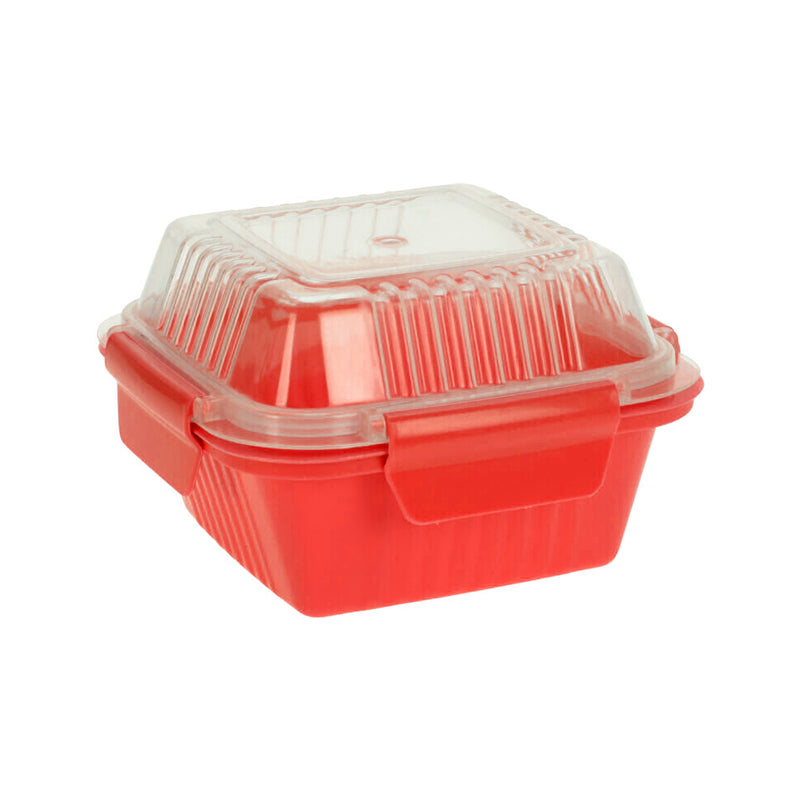 Polypropylene Lunchbox 15x15x9cm