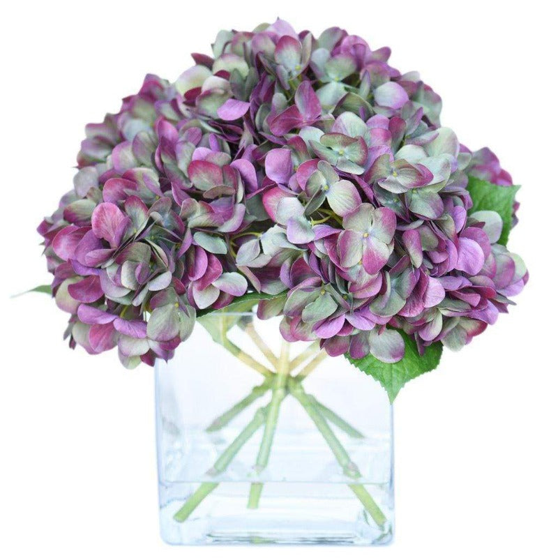 Hydrangea in Glass Vase Large