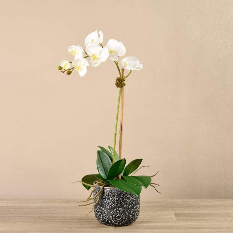 Artificial Orchid Arrangement