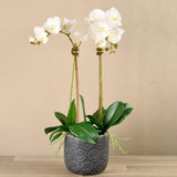 Artificial Orchid Arrangement