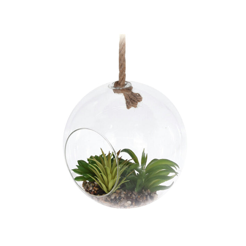 Plant in Glass Pot