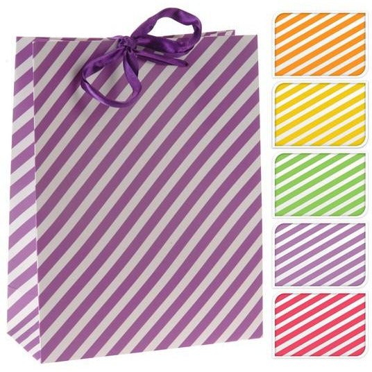 Paper Gift Bag Medium