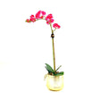 Artificial Orchid Arrangement