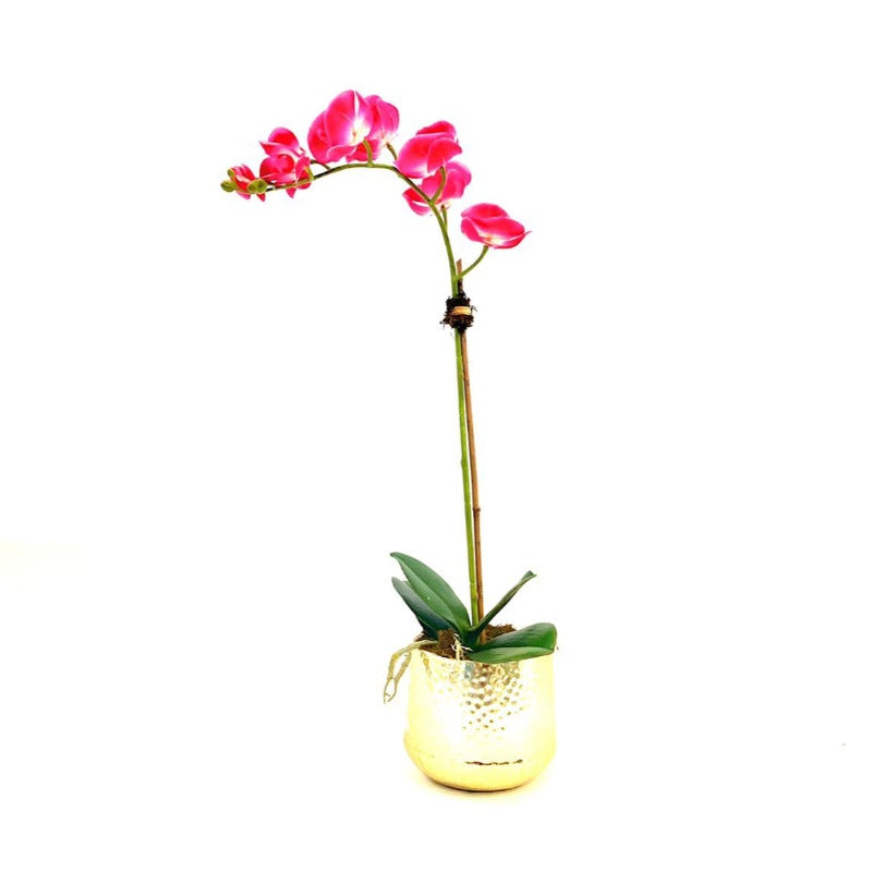 Artificial Orchid Arrangement