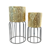 Metal Planter (Set of 2)