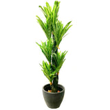 Artificial Dracena Tree 200cm